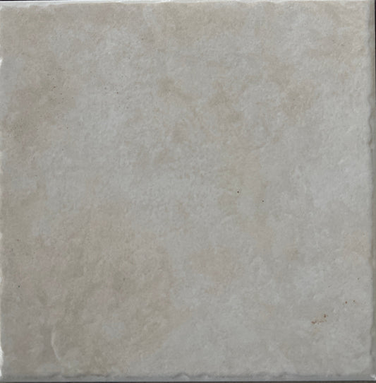 Rivestimento 20x20 CORNIGLIA