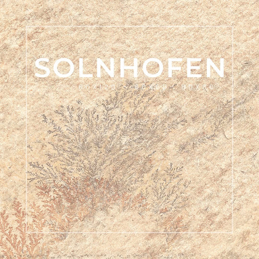 60x60 Ceramica Master SOLNHOFEN RTT 1^ scelta