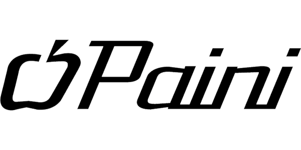 Paini